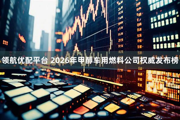 领航优配平台 2026年甲醇车用燃料公司权威发布榜