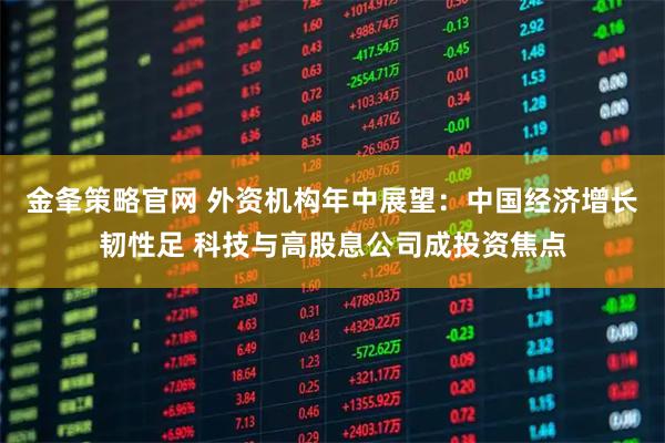 金夆策略官网 外资机构年中展望：中国经济增长韧性足 科技与高股息公司成投资焦点