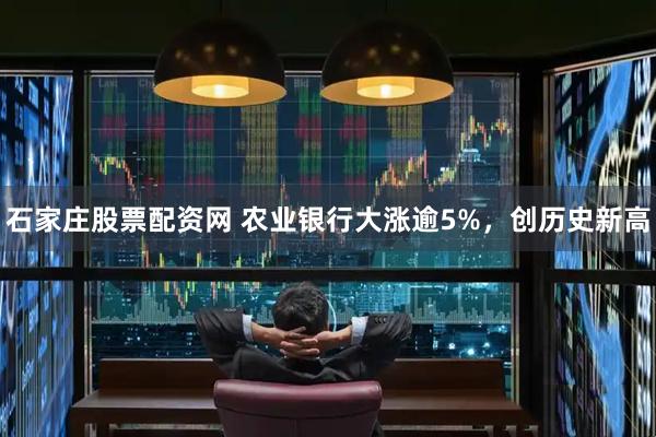 石家庄股票配资网 农业银行大涨逾5%，创历史新高
