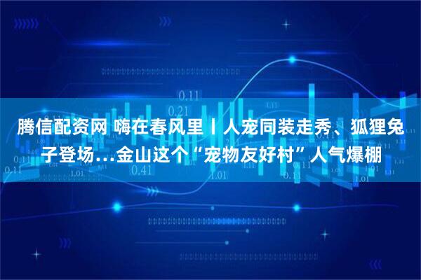 腾信配资网 嗨在春风里丨人宠同装走秀、狐狸兔子登场…金山这个“宠物友好村”人气爆棚